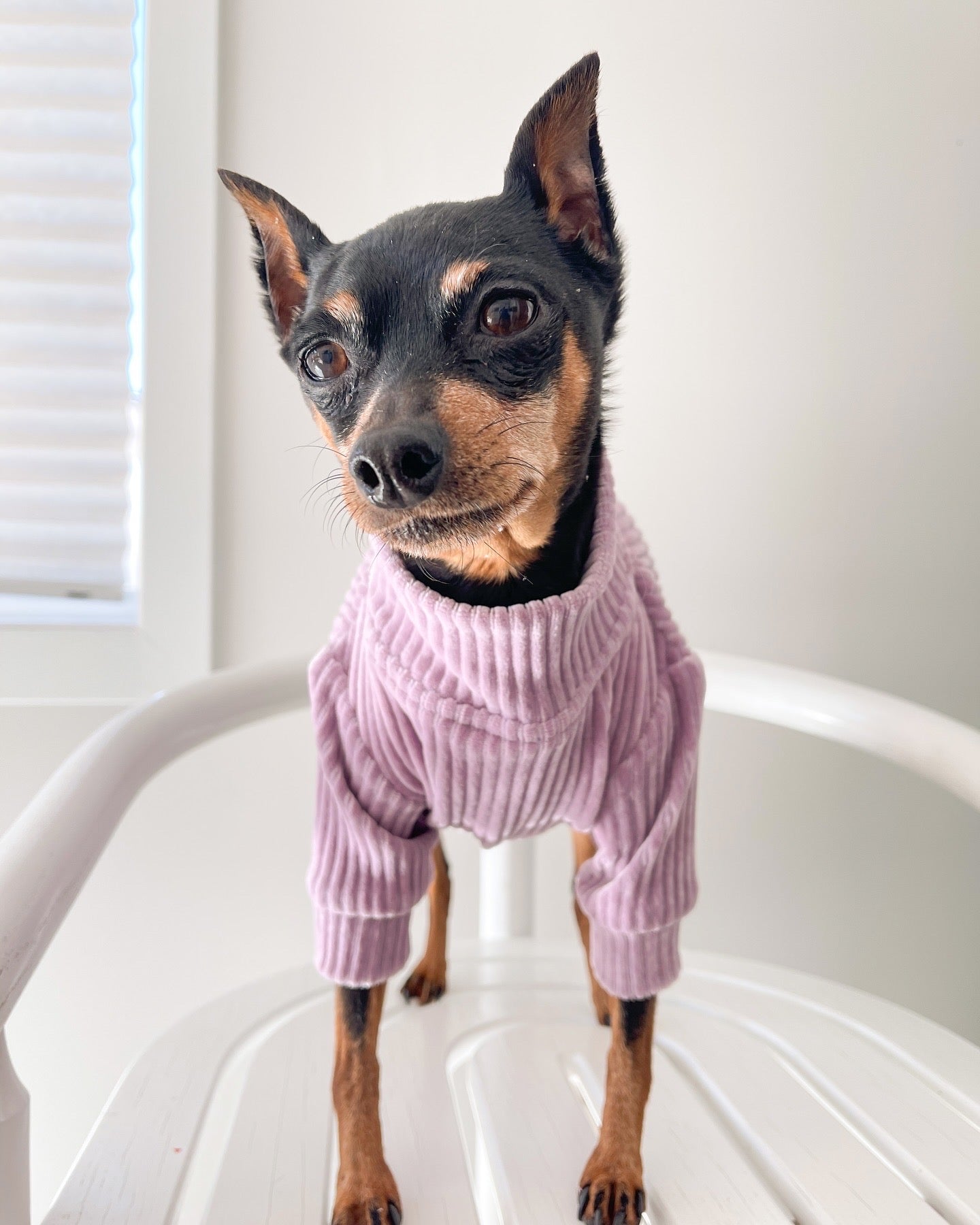Lilac Dog Sweater