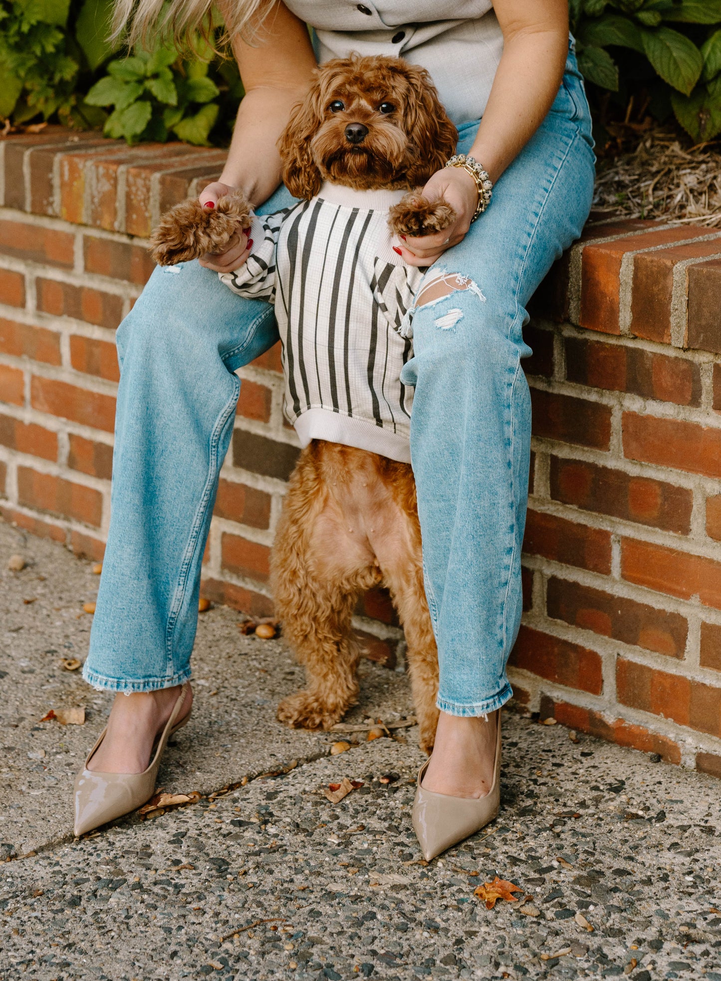 Ralph Dog Sweatshirt