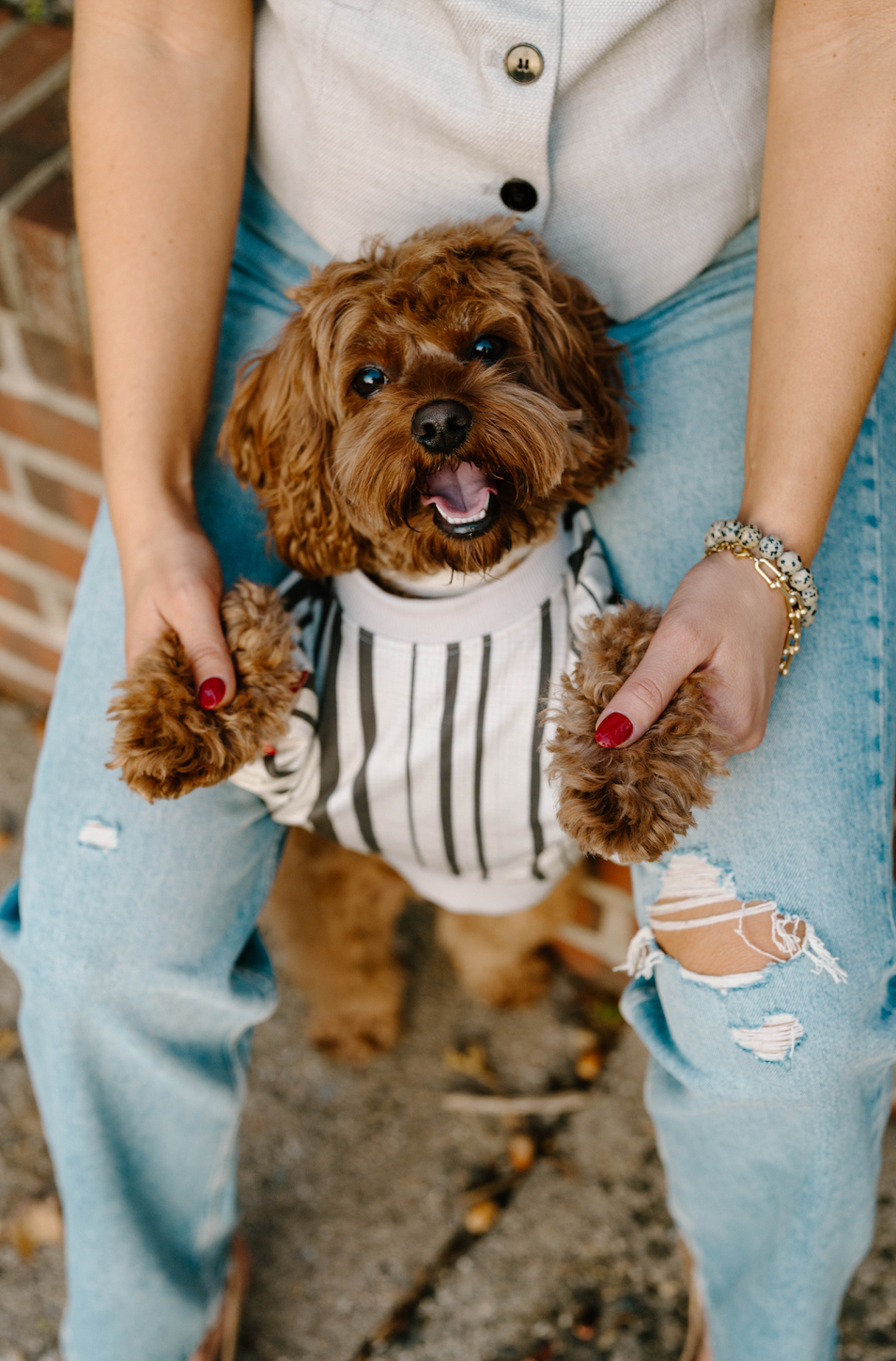Ralph Dog Sweatshirt
