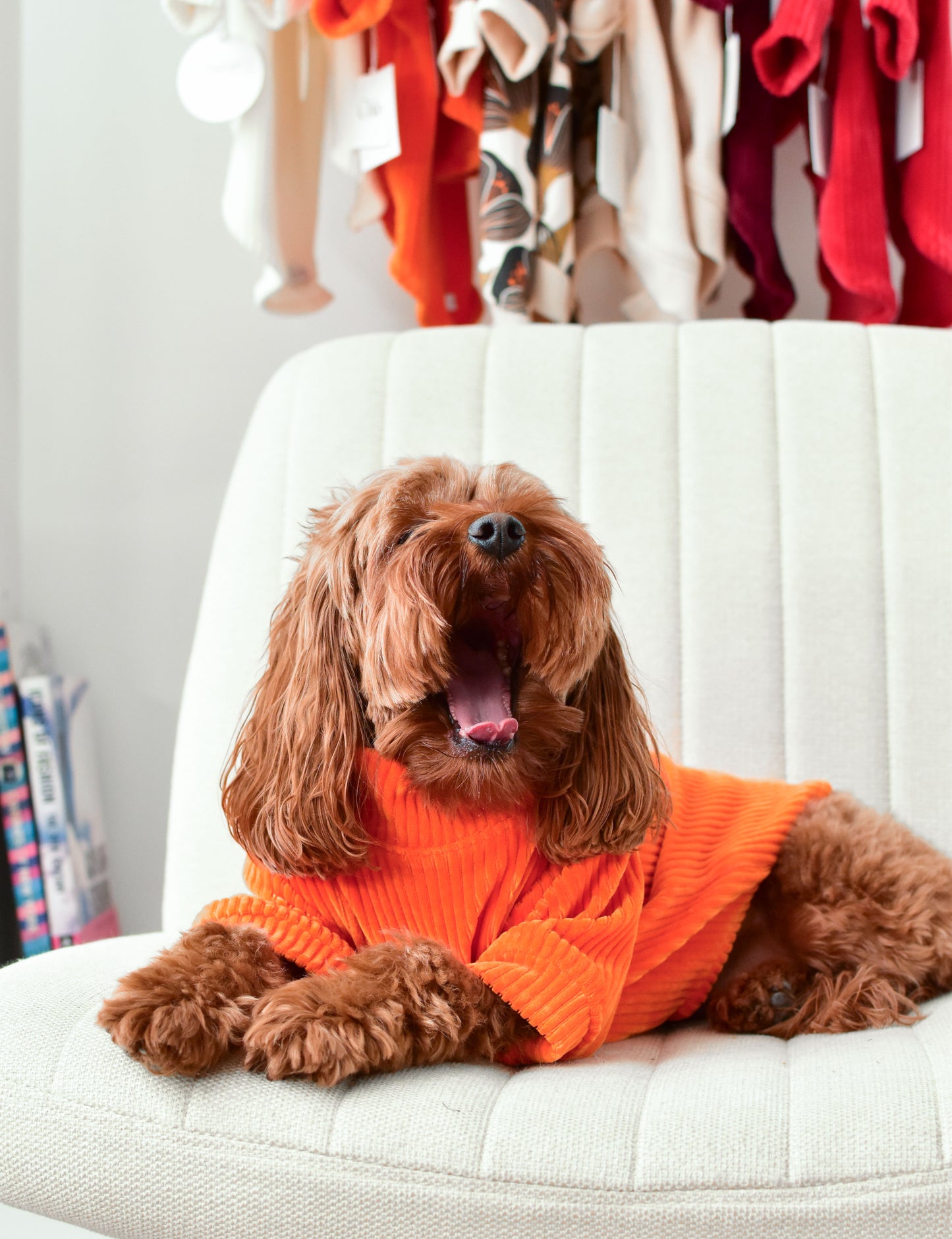 Aperol Sweater