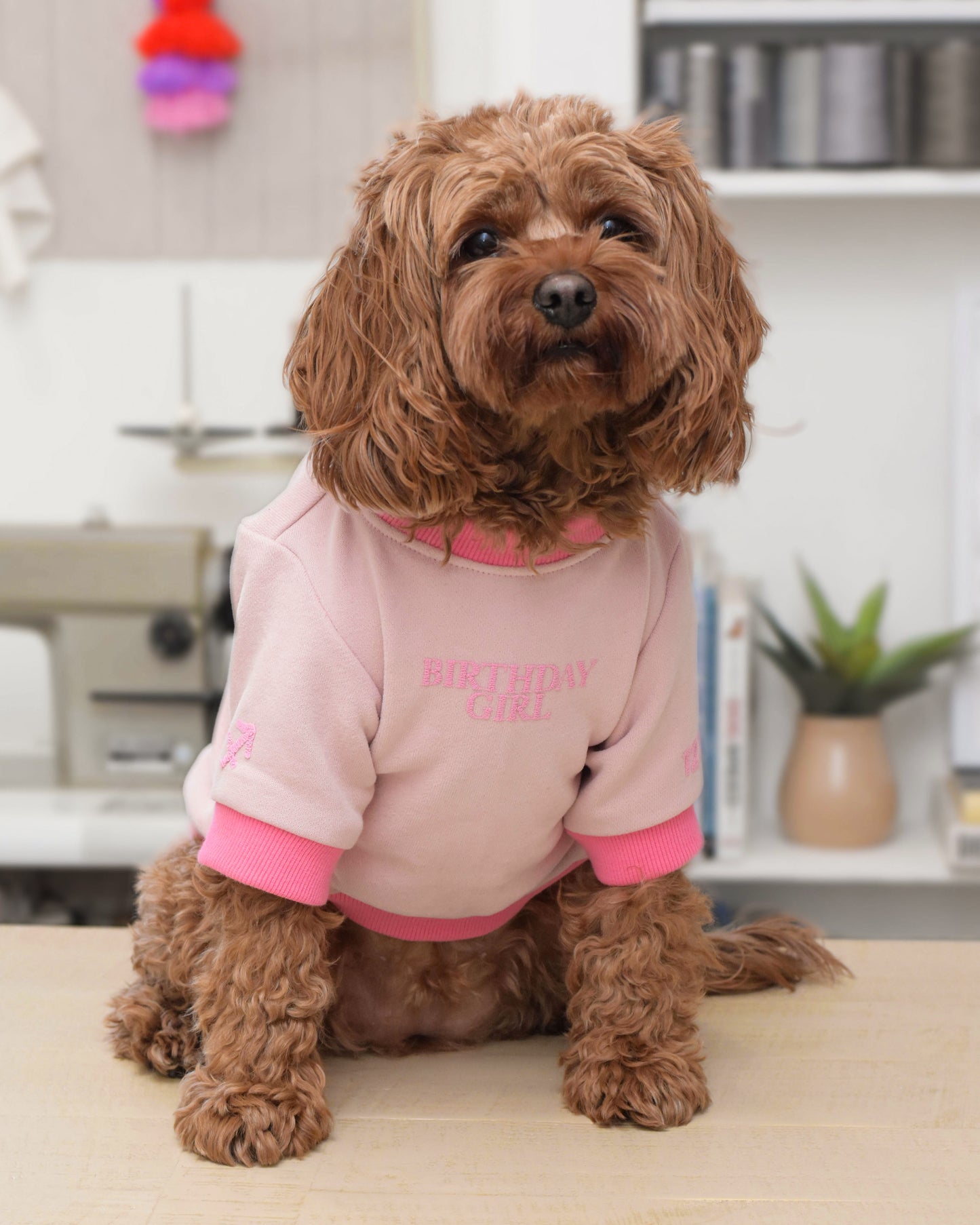 Birthday Girl Sweatshirt