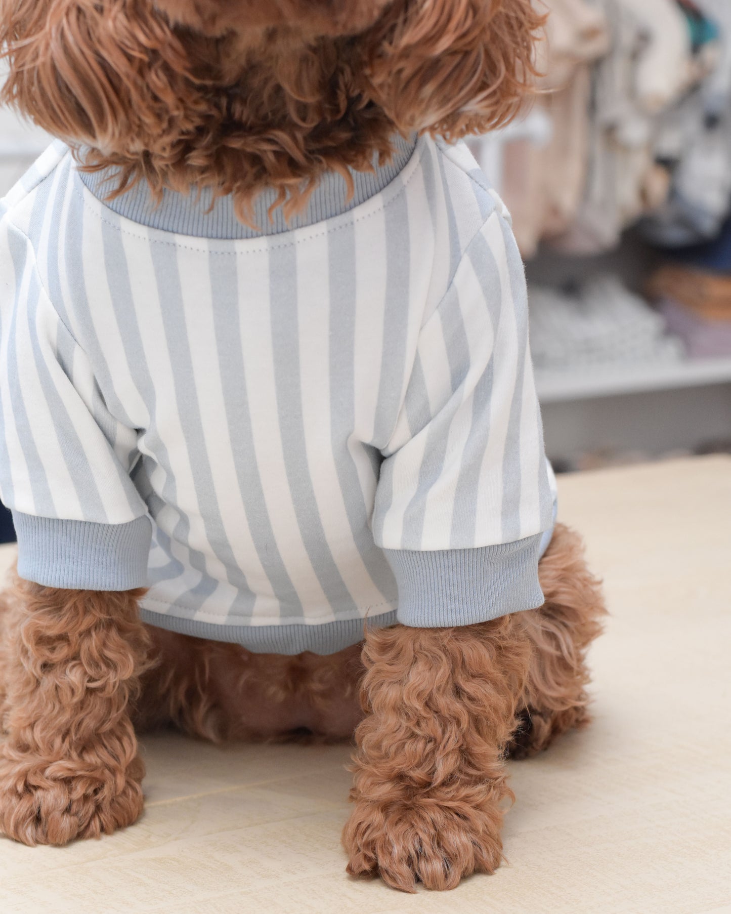 Coastal Dog Sweatshirt