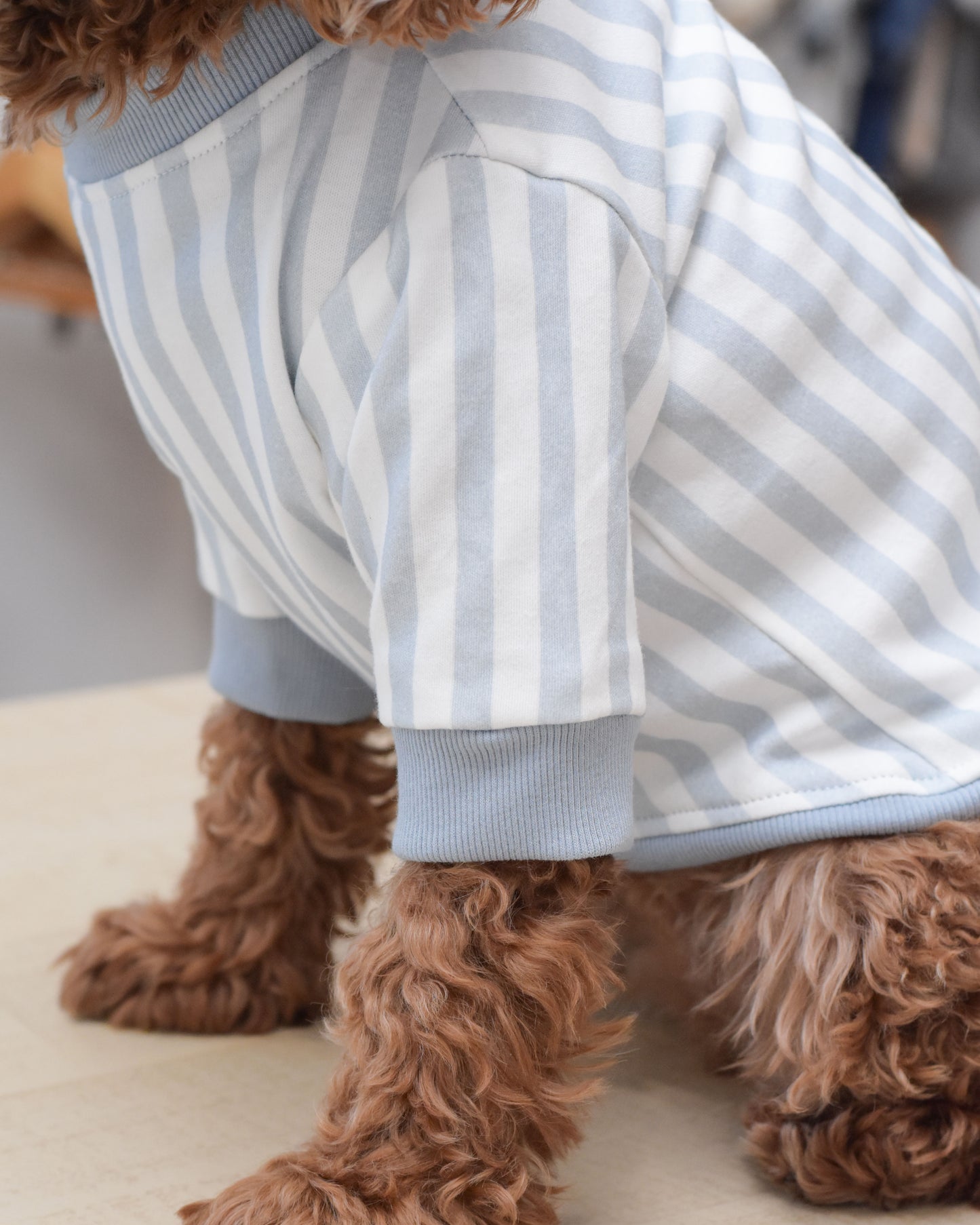 Coastal Dog Sweatshirt