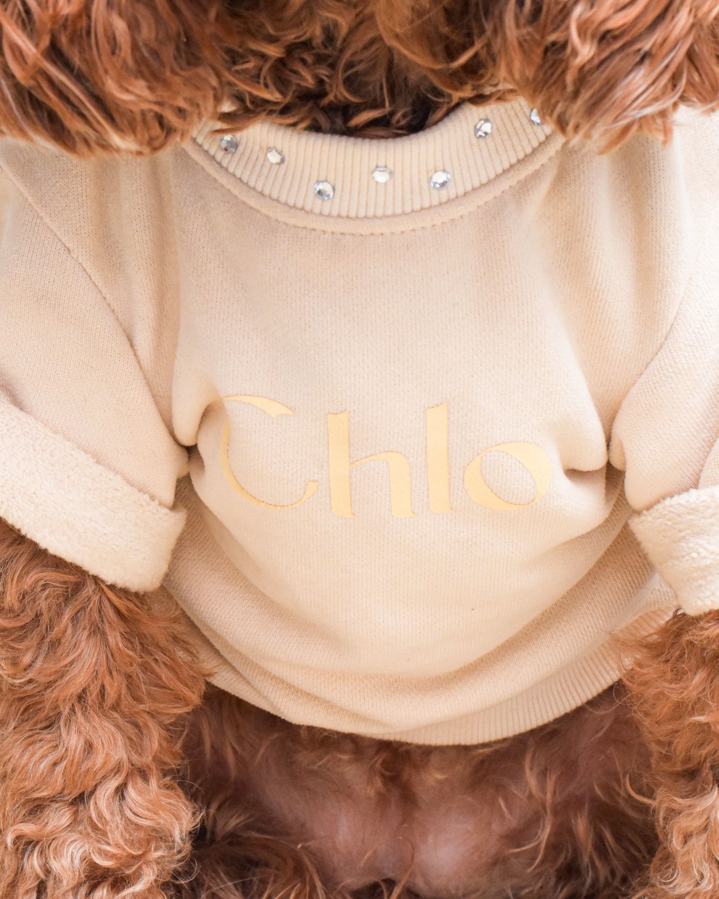 Gem Sweatshirt