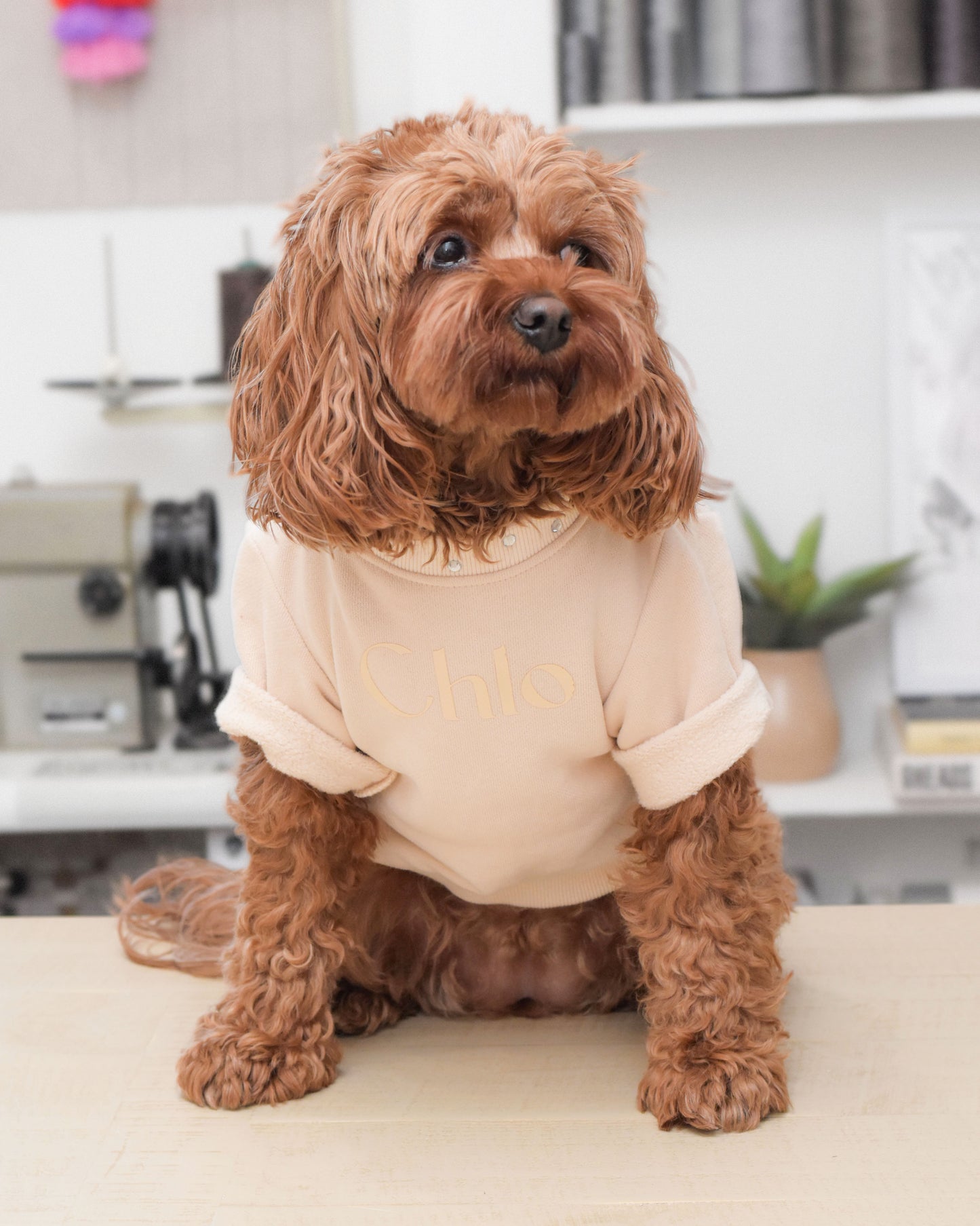 Gem Sweatshirt