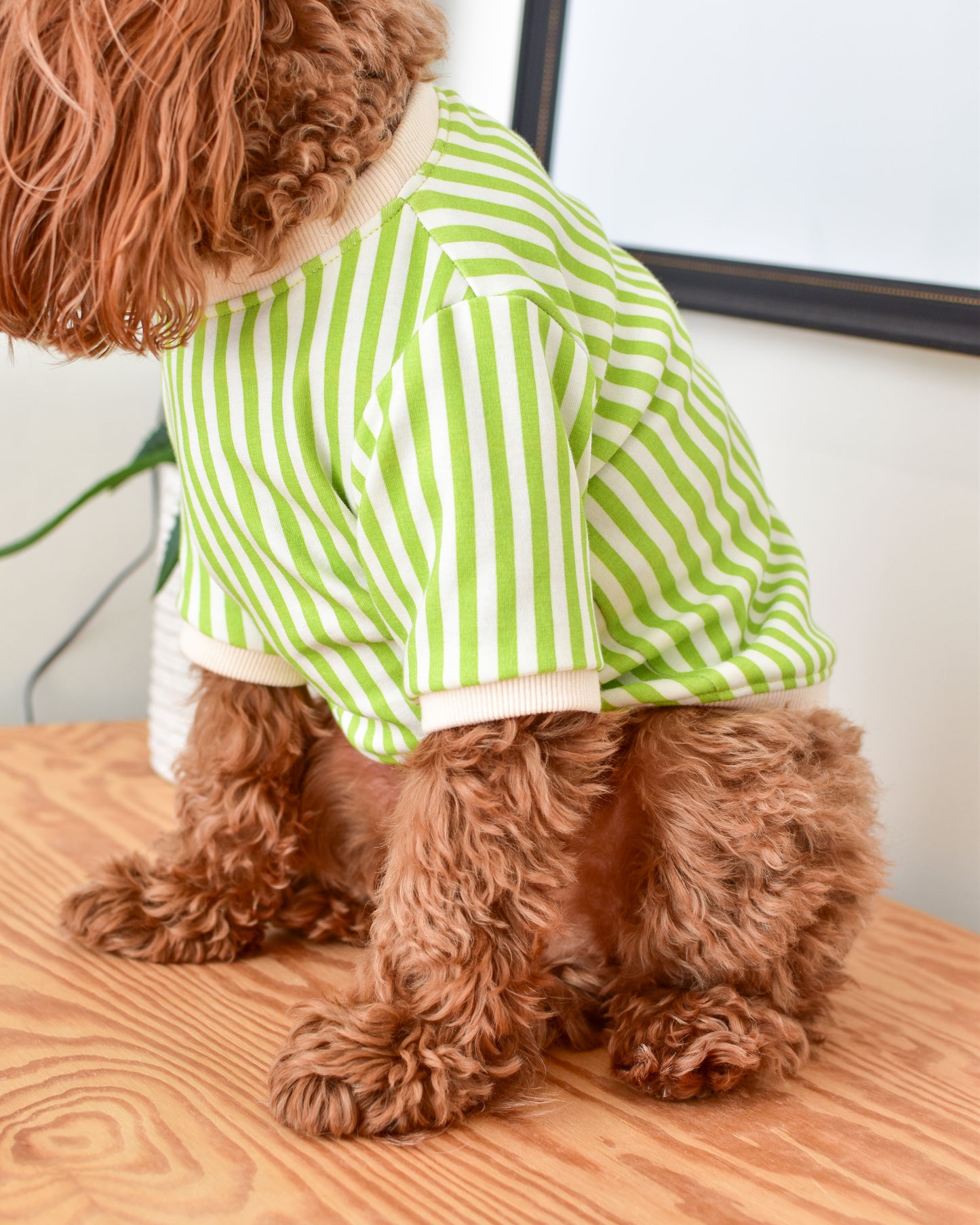 Matcha Moment Dog Top