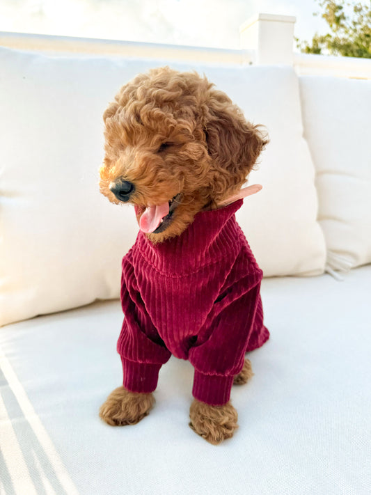 Merlot Sweater