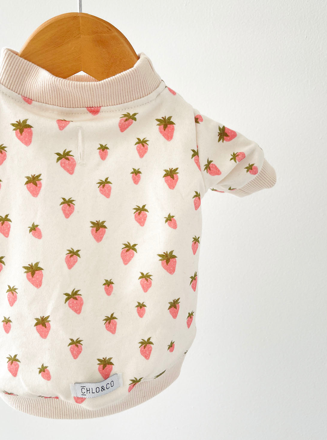 Shortcake Dog Sweatshirt