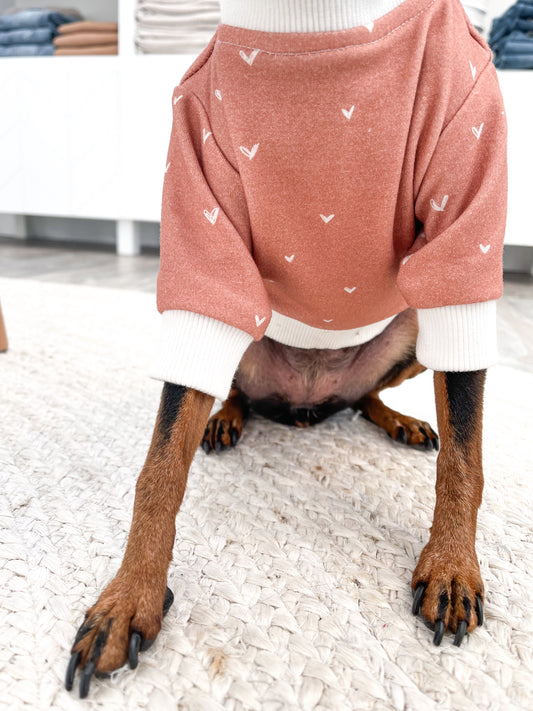 Puppy Love Dog Sweatshirt