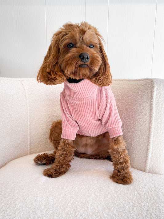 Pink Dog Sweater