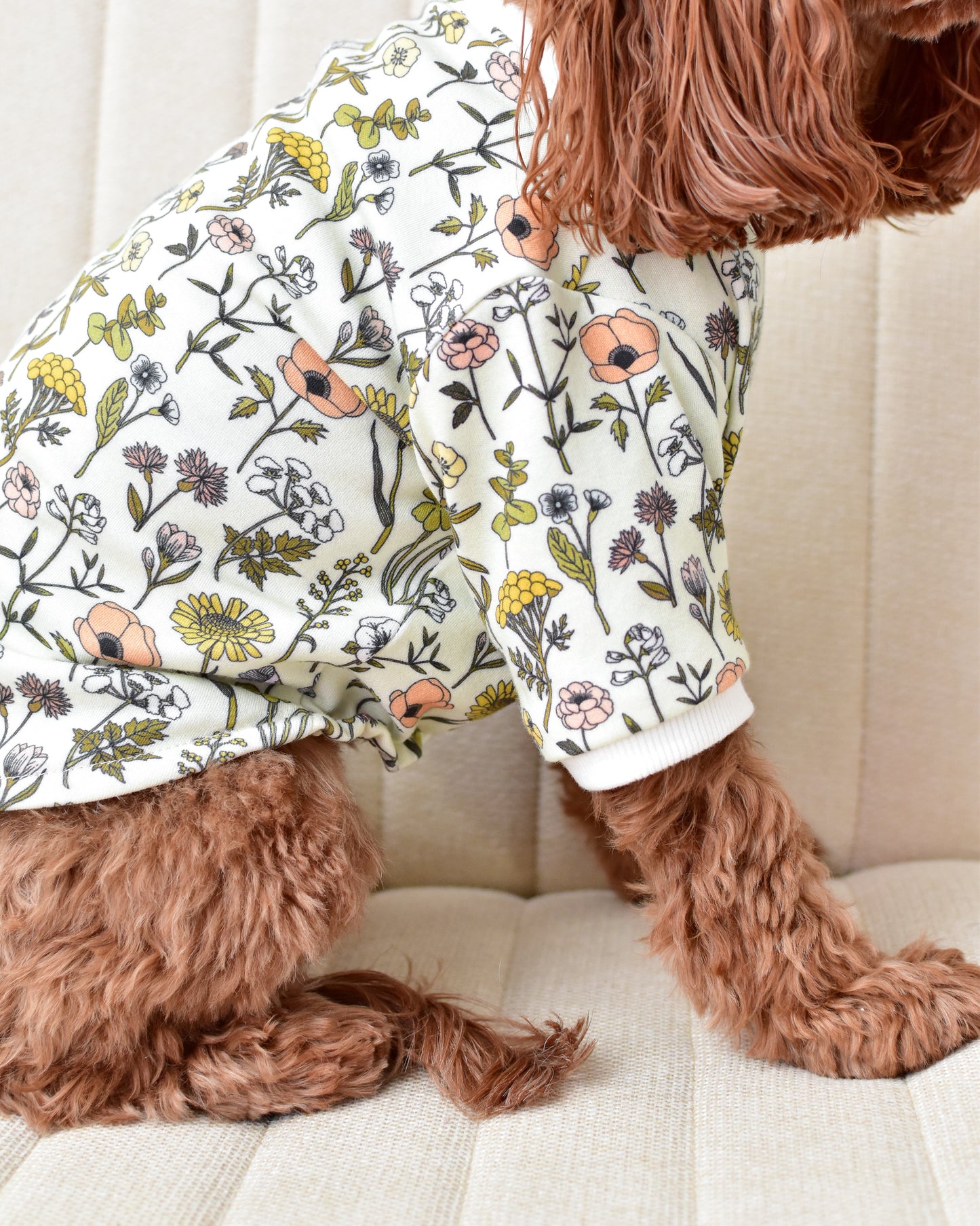 Garden Muse Dog Top