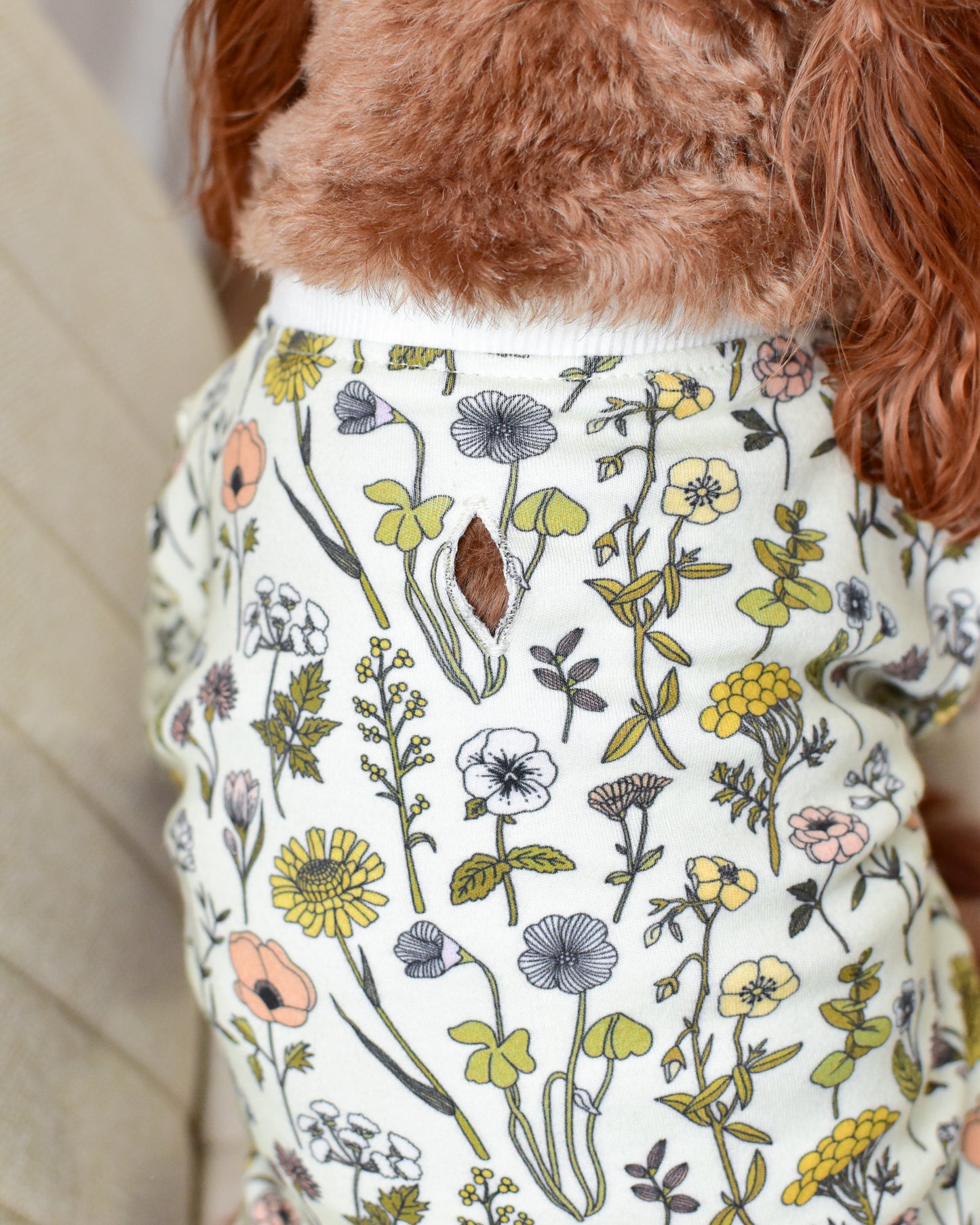 Garden Muse Dog Top