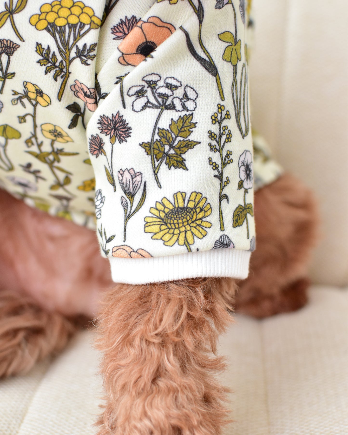 Garden Muse Dog Top