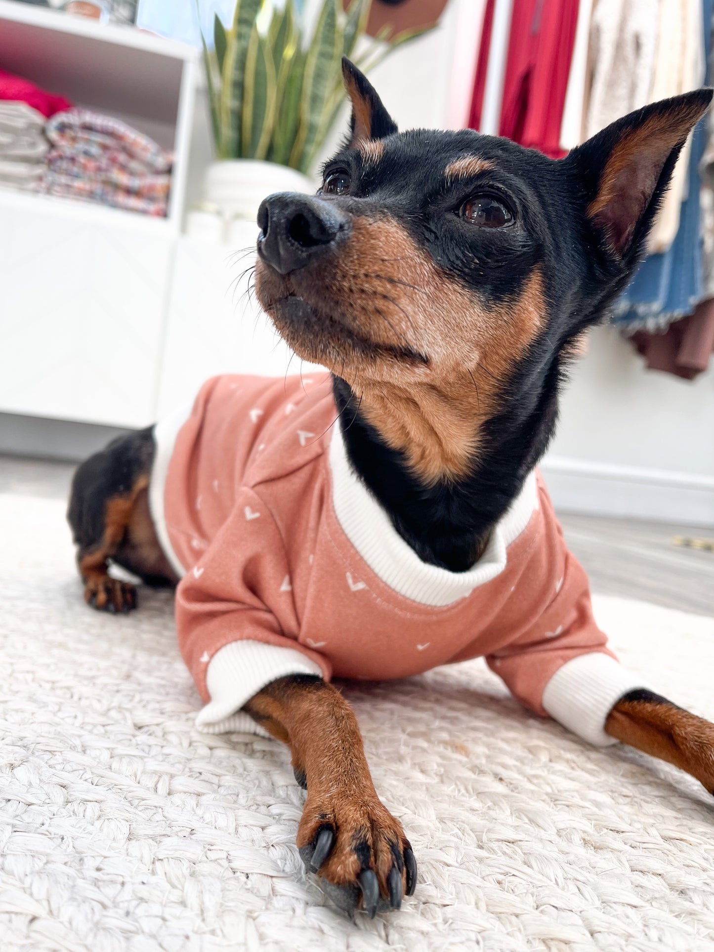 Puppy Love Dog Sweatshirt