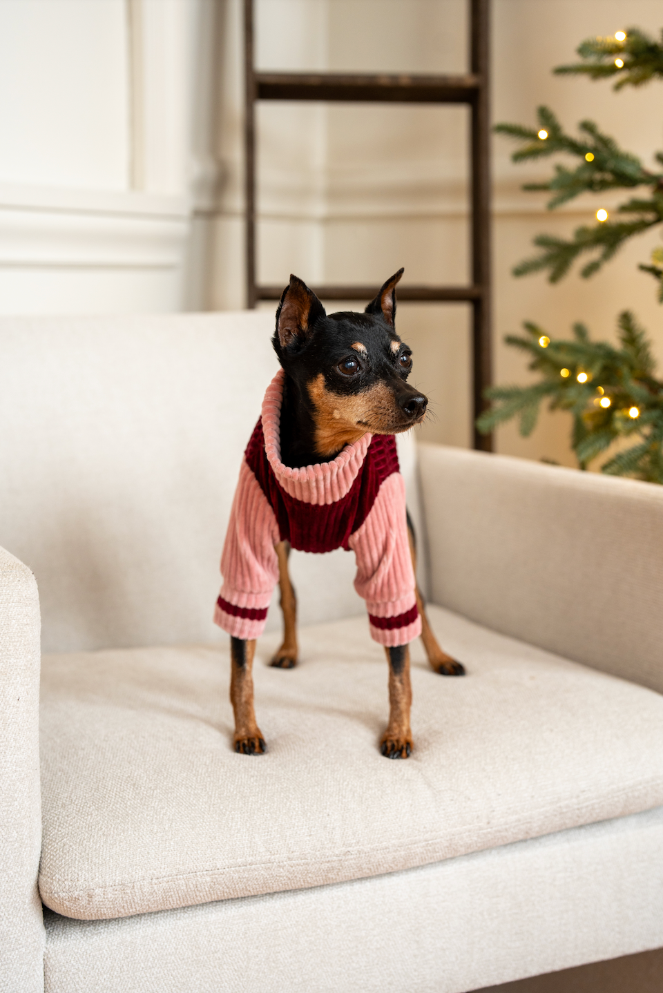 Candy Land Dog Sweater