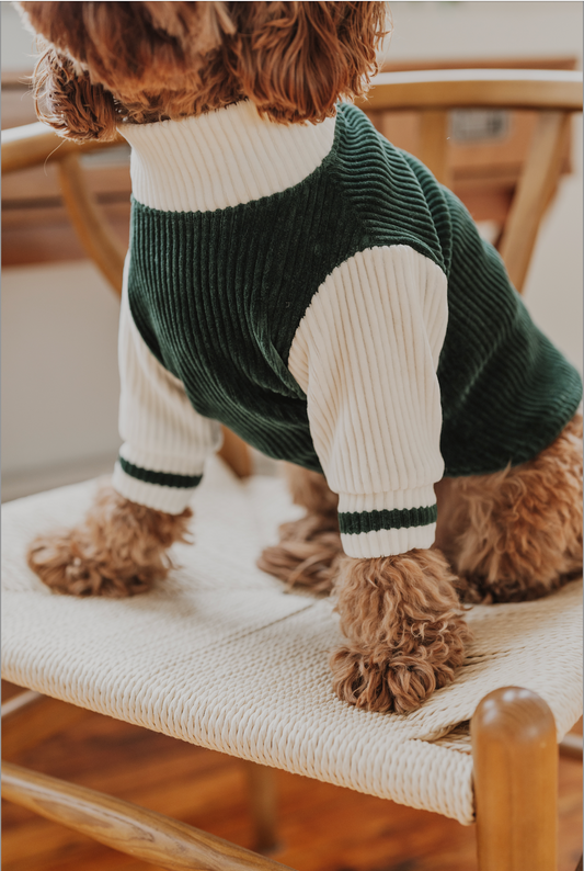 Dartmouth Dog Sweater