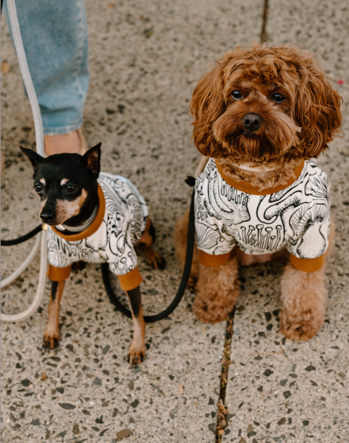 Mushroom Dog Sweatshirt