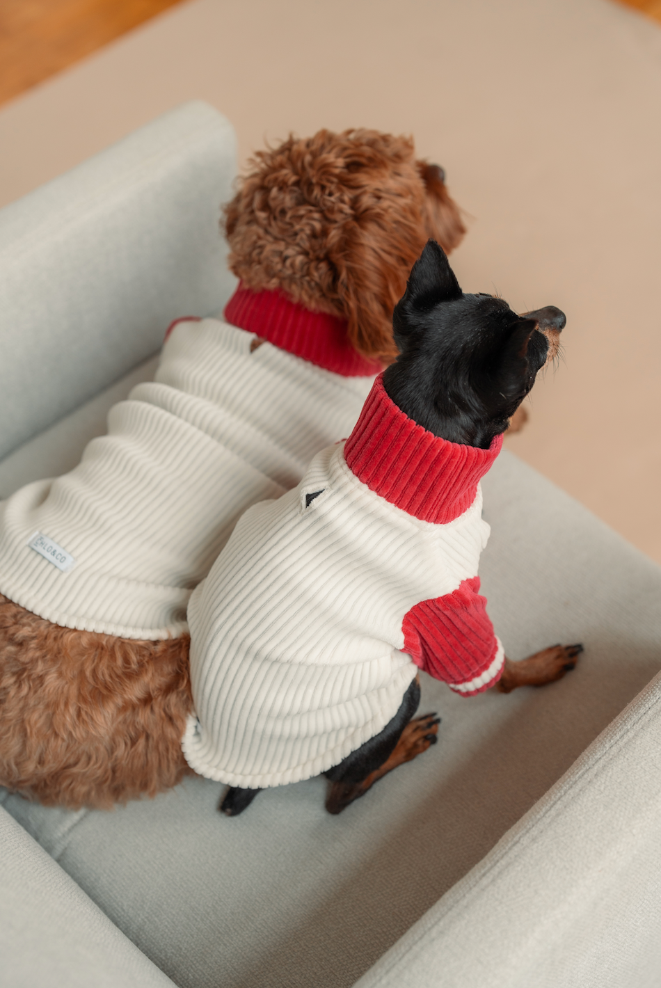 Peppermint Dog Sweater