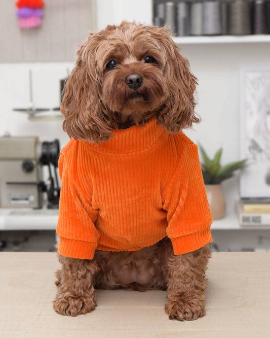 Aperol Dog Sweater