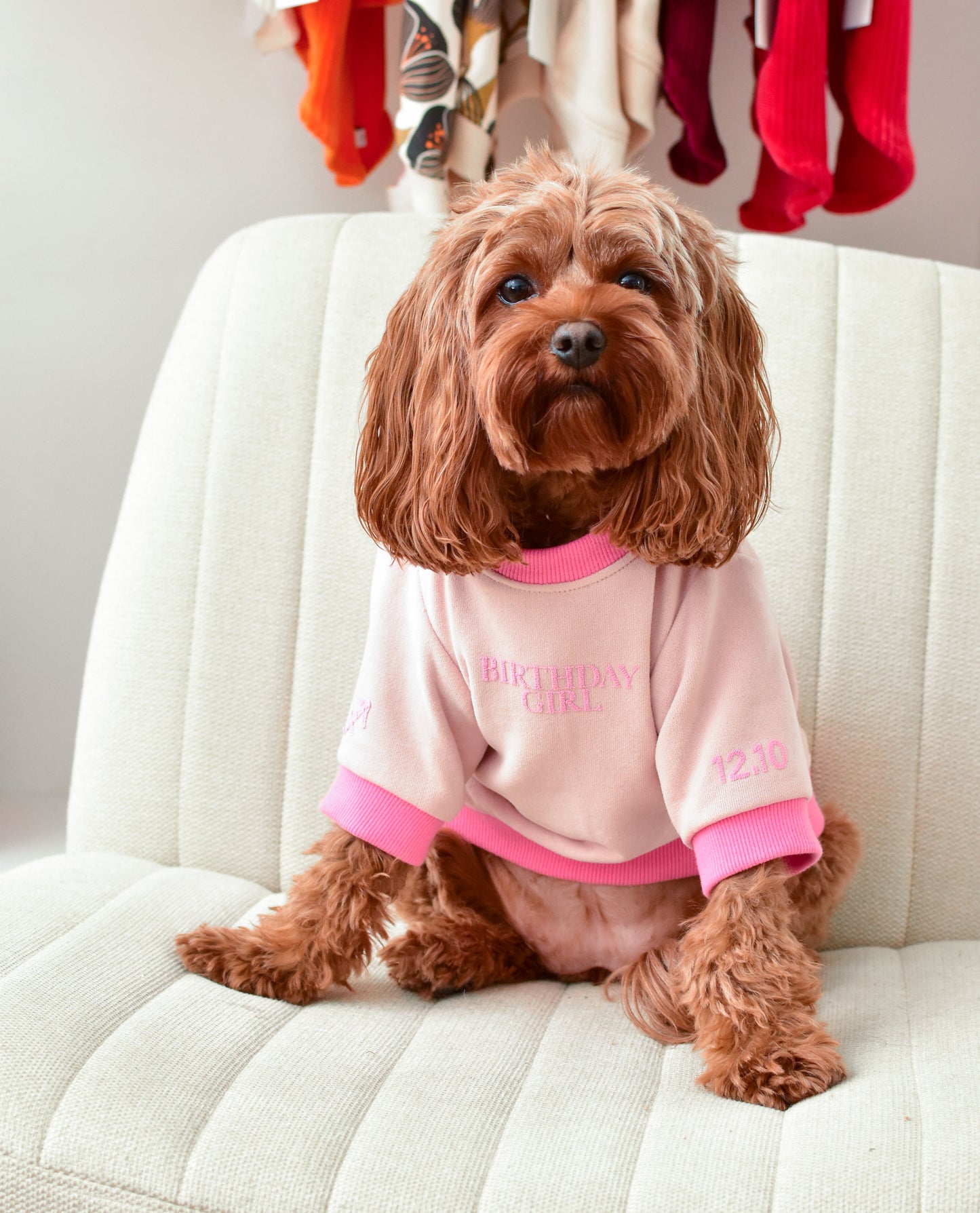 Birthday Girl Sweatshirt