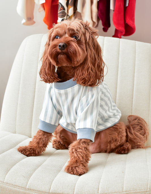 Coastal Dog Sweatshirt