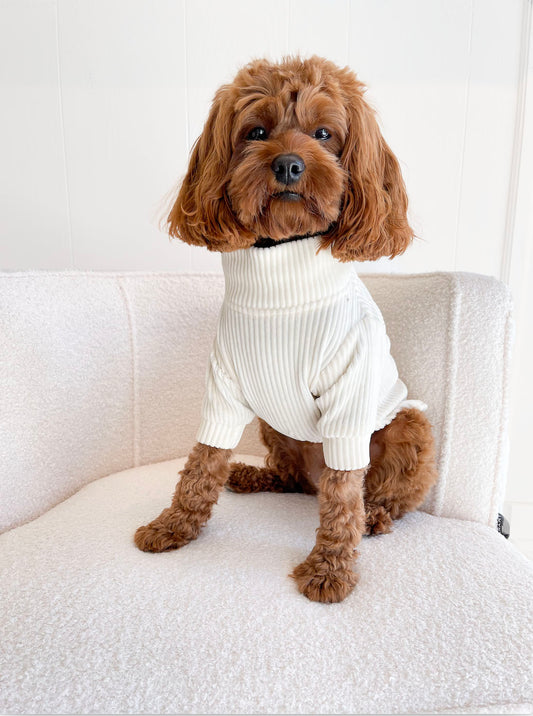 Creamy Dog Sweater