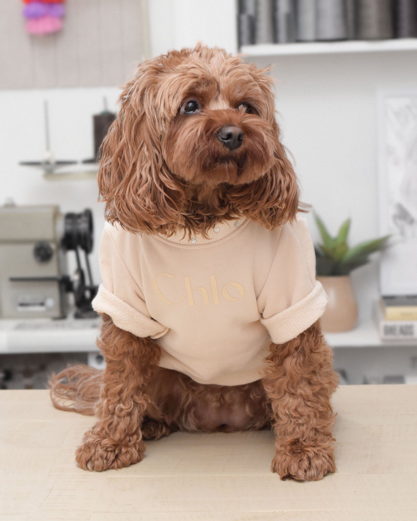Gem Sweatshirt