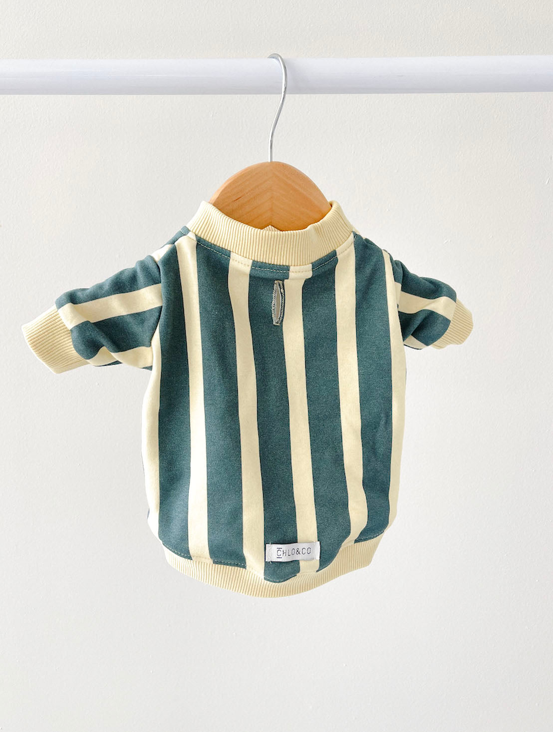 Hampton Dog Sweatshirt
