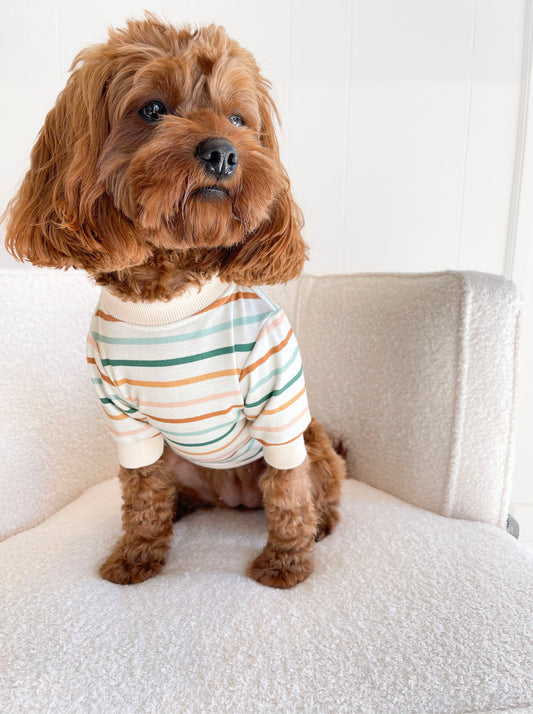 Malibu Dog Sweatshirt
