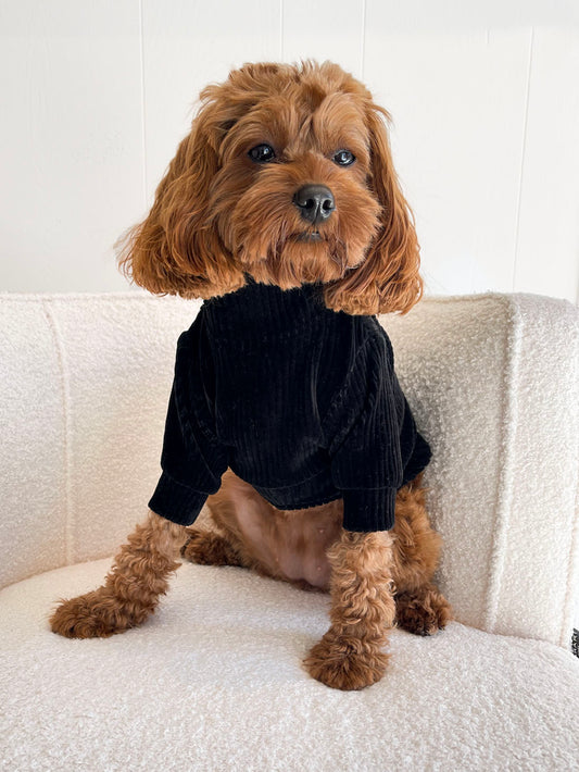 Midnight Dog Sweater