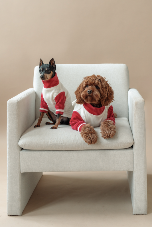 Peppermint Dog Sweater
