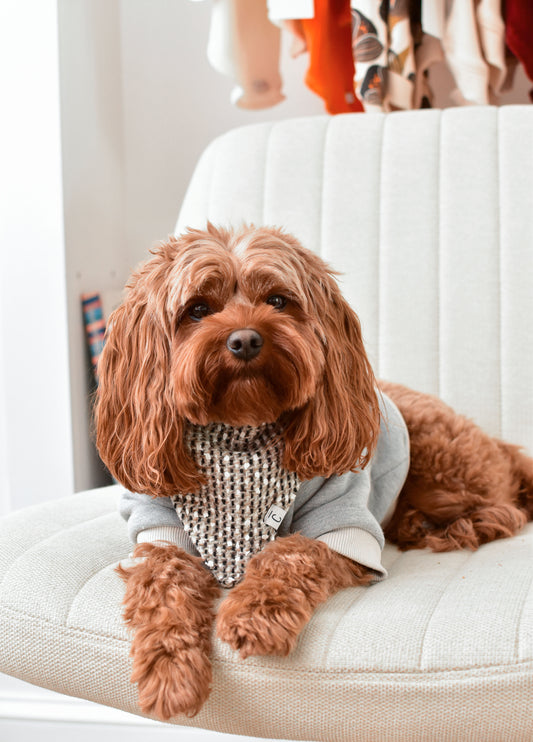 Emilia Tweed Bandana